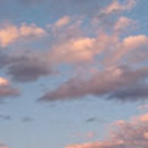 Meet your Posher, Jackson